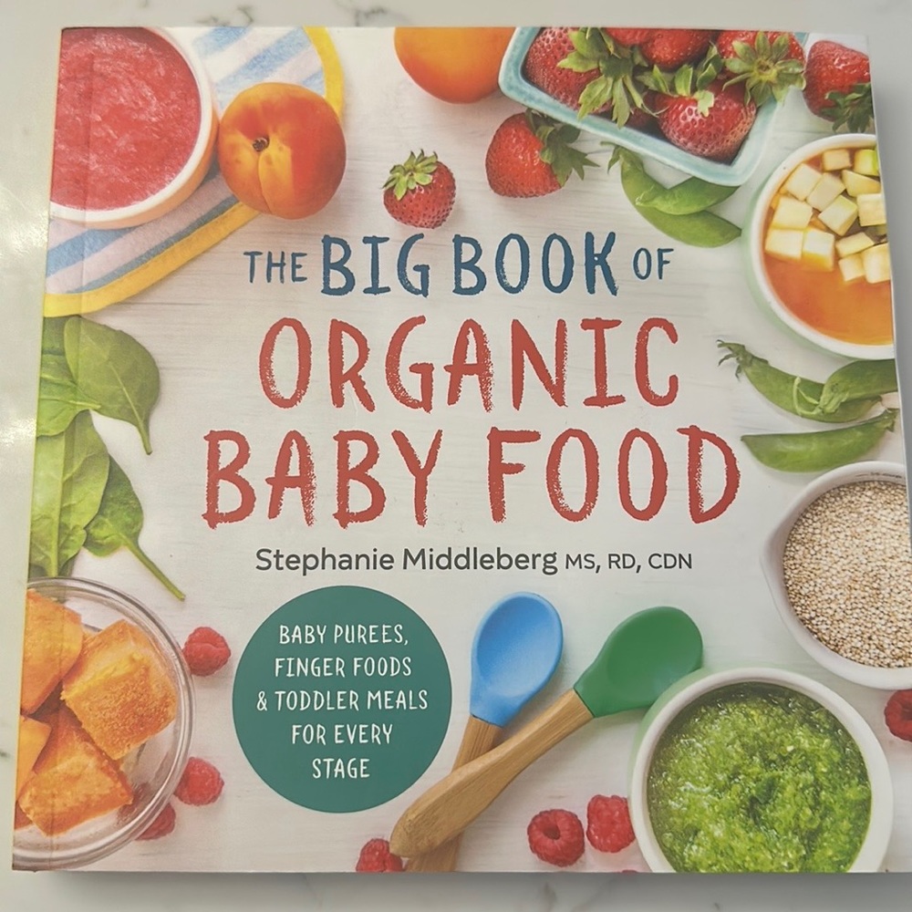 THE BIG BOOK OF ORGANIC BABY FOOD
